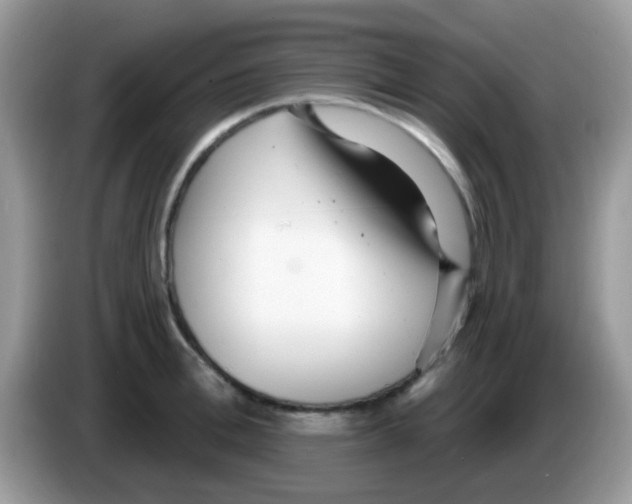 X0000086250996200704261932