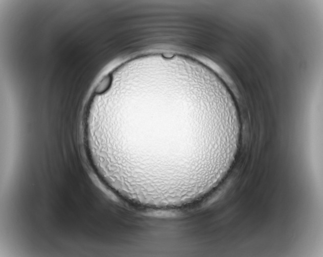 X0000086250998200704261932