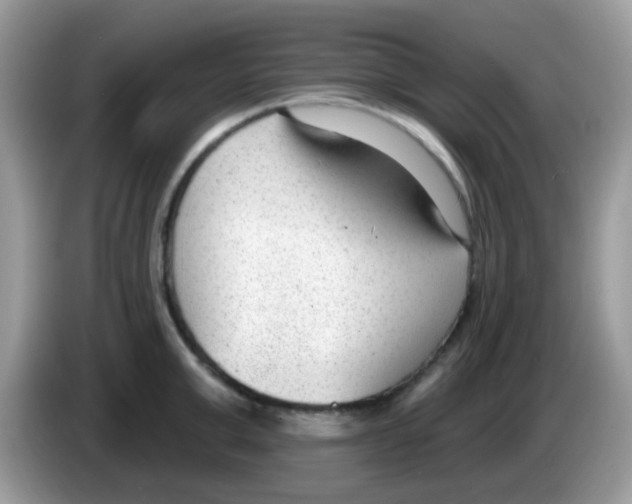 X0000086250999200704261932