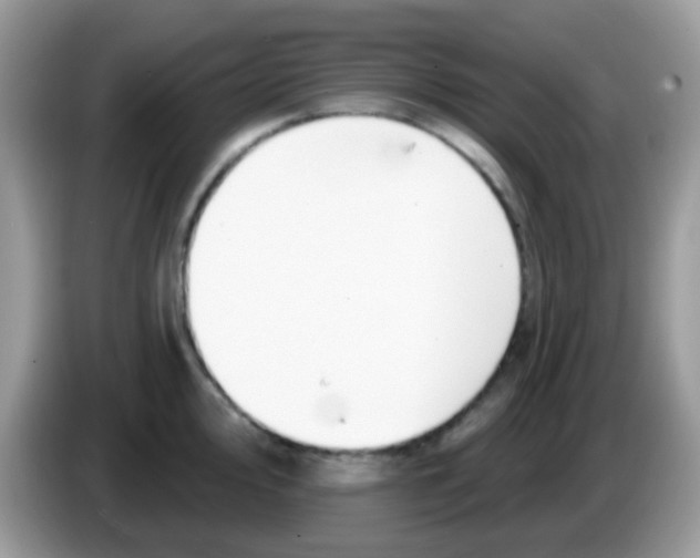 X0000086251000200704261932