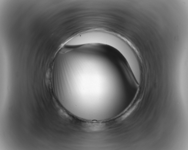X0000086251001200704261932