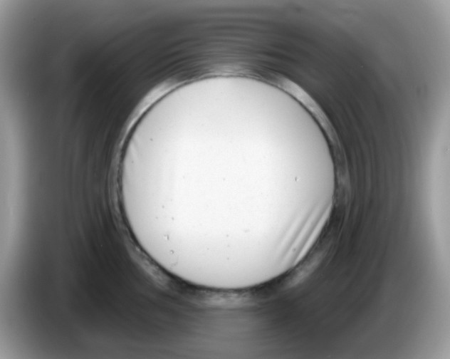 X0000086251002200704261932