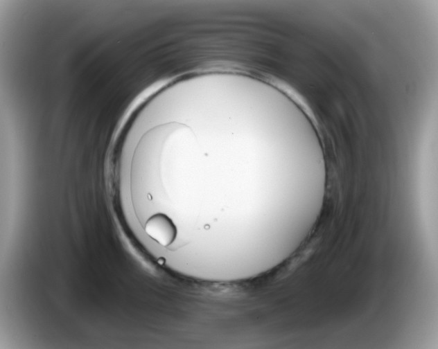 X0000086251003200704261932
