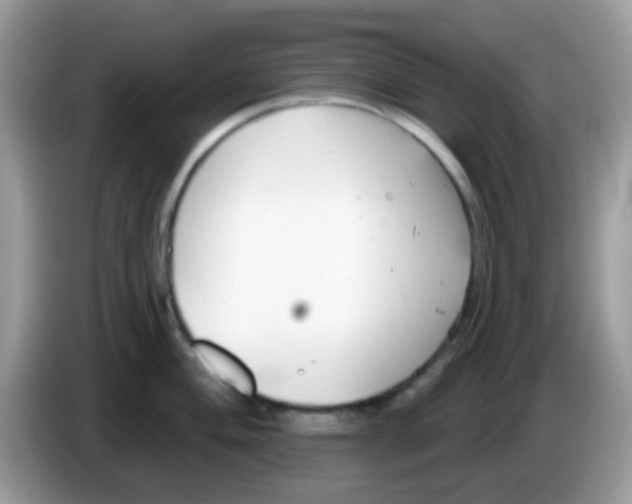 X0000086251004200704261932