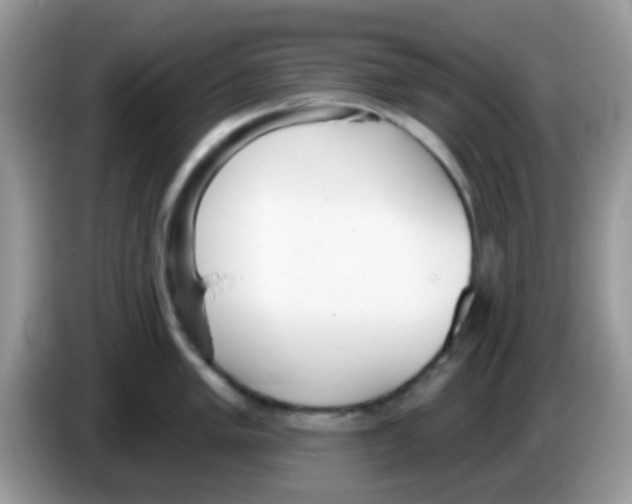 X0000086251005200704261932