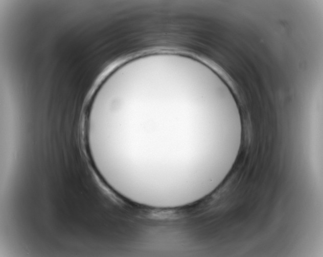 X0000086251006200704261932