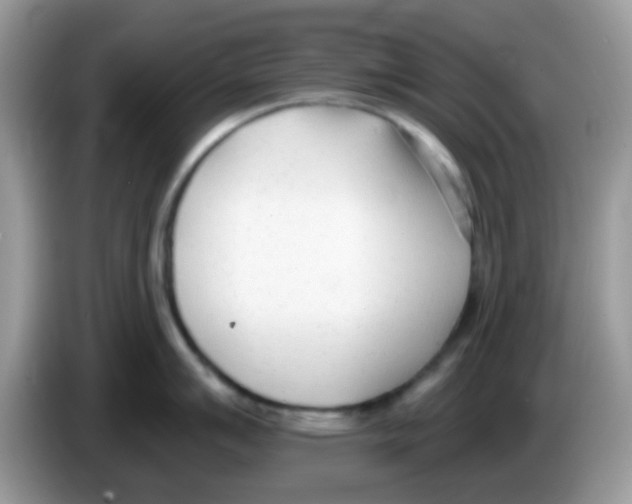 X0000086251007200704261932