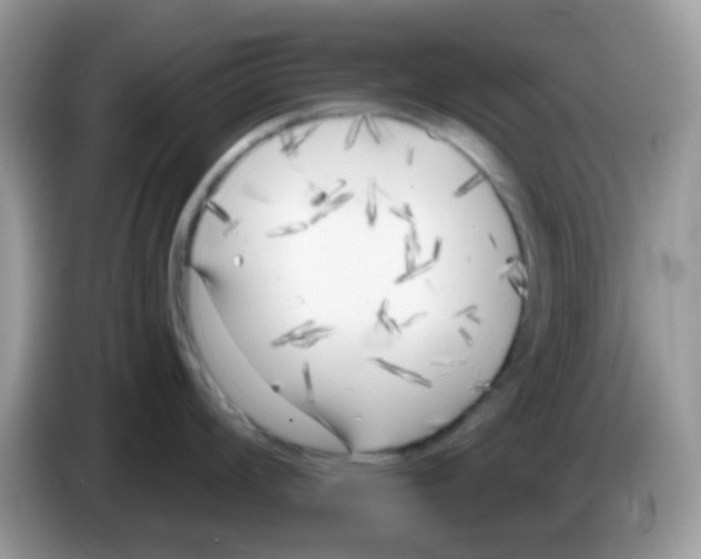 X0000086251008200704261932