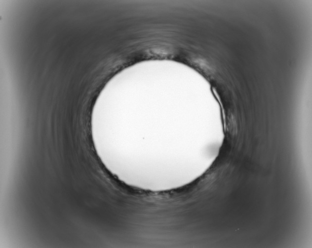 X0000086251009200704261931