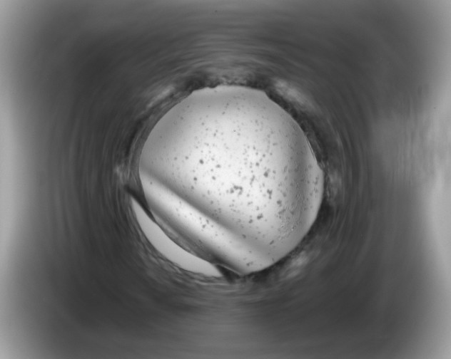 X0000086251010200704261931