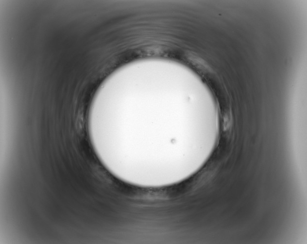 X0000086251011200704261931