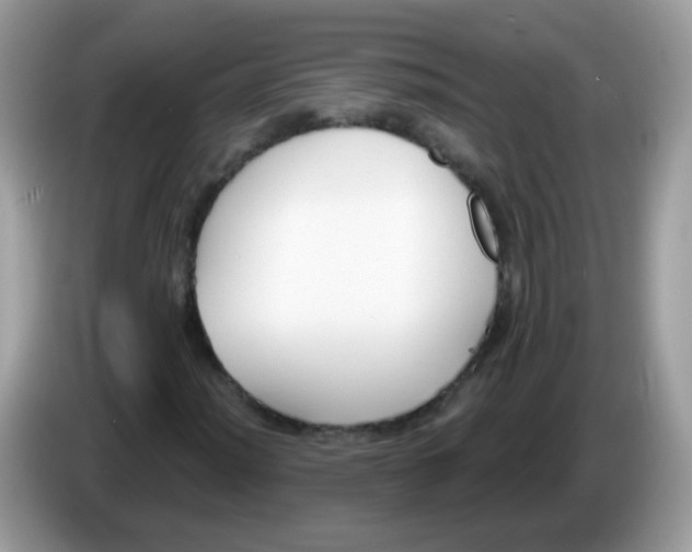 X0000086251012200704261931