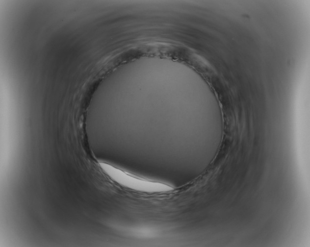 X0000086251013200704261931