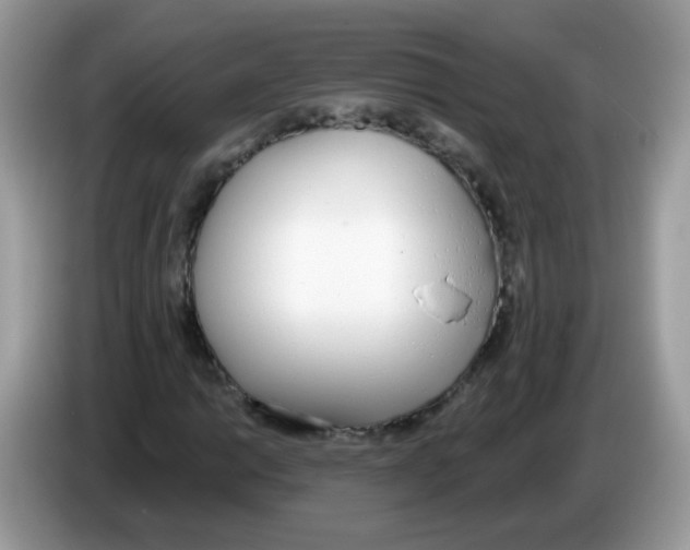 X0000086251014200704261931