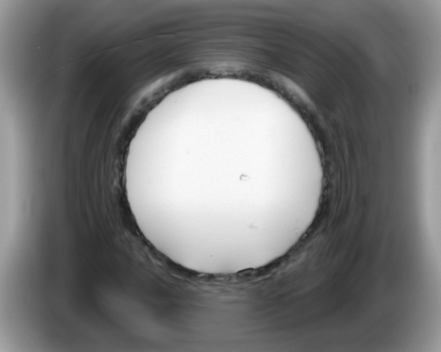 X0000086251016200704261931