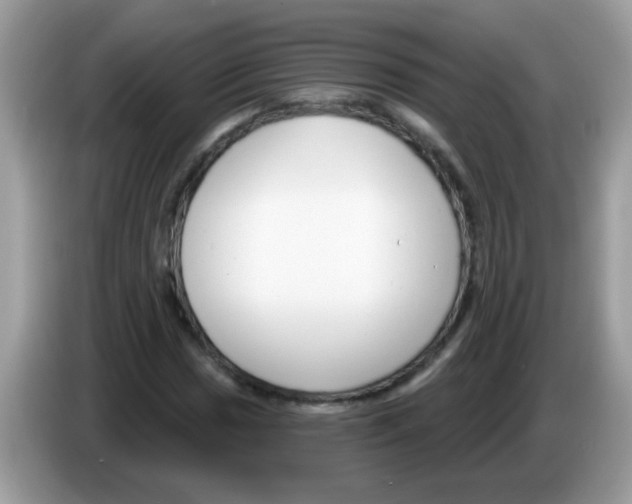 X0000086251017200704261931