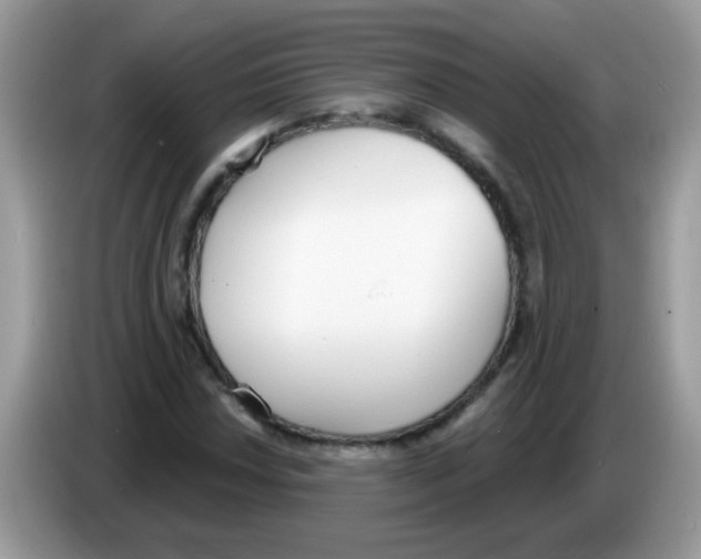 X0000086251018200704261931