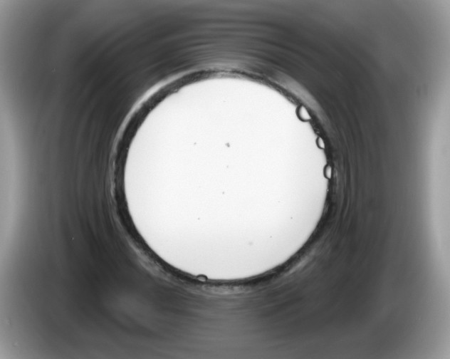 X0000086251020200704261931