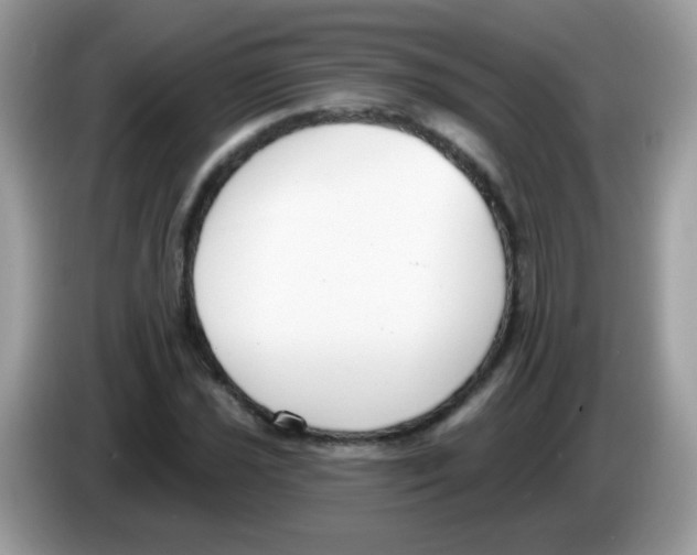 X0000086251021200704261931