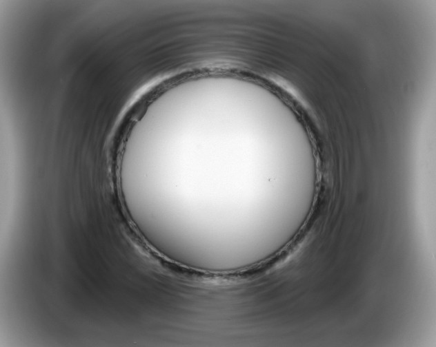 X0000086251022200704261932