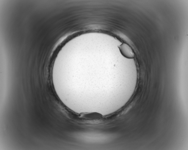 X0000086251023200704261932