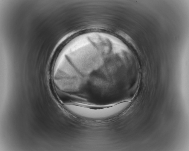 X0000086251024200704261932