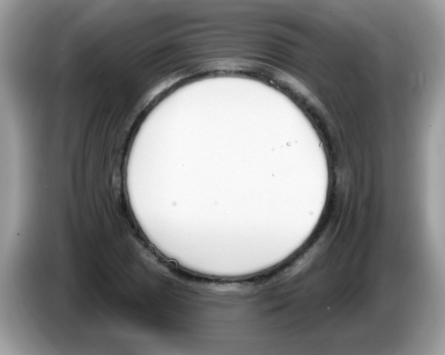 X0000086251025200704261932