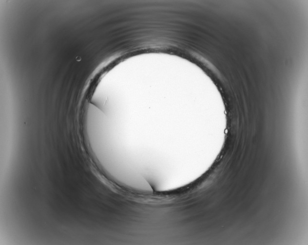 X0000086251026200704261932