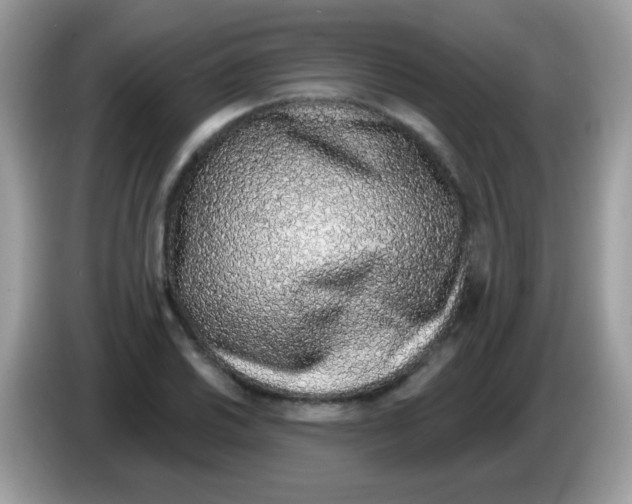 X0000086251030200704261932