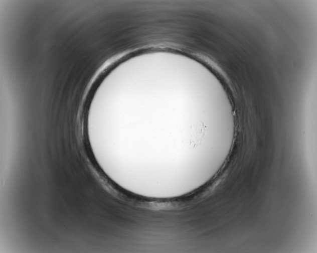 X0000086251032200704261932