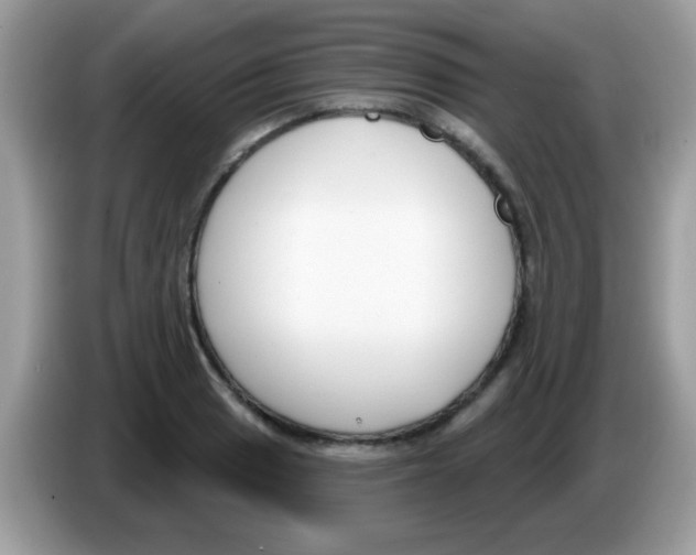 X0000086251033200704261932