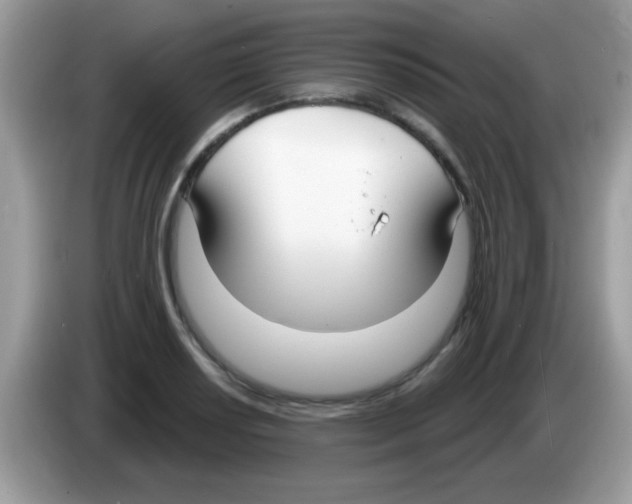 X0000086251034200704261932