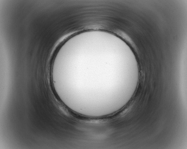 X0000086251035200704261932