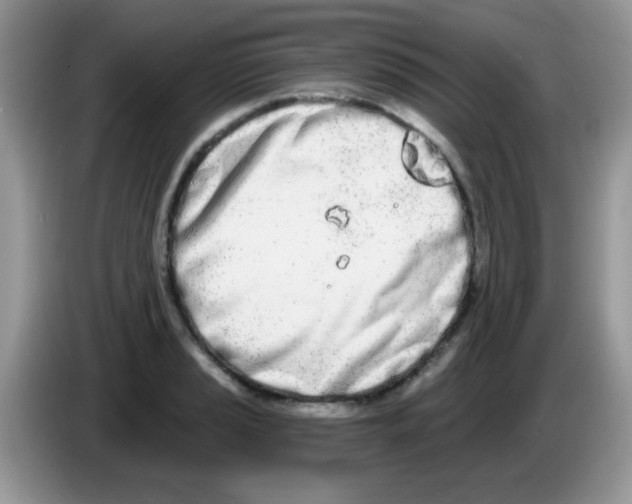 X0000086251037200704261932
