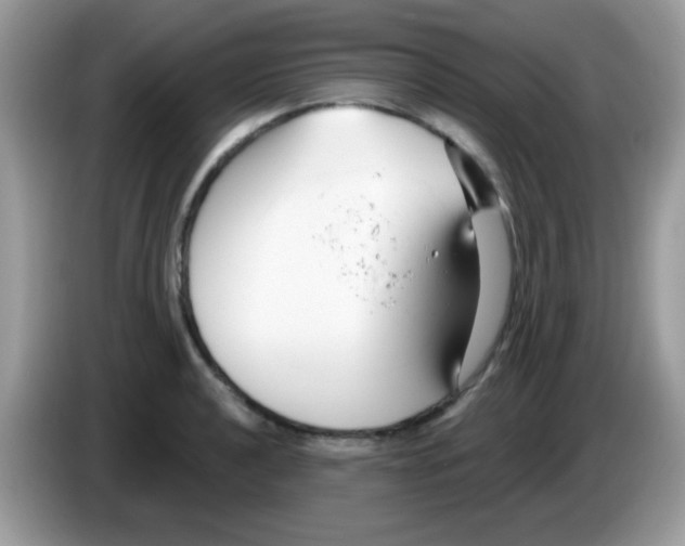 X0000086251040200704261932
