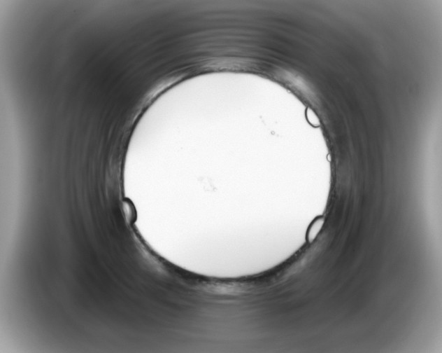 X0000086251041200704261932