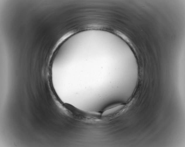 X0000086251042200704261932