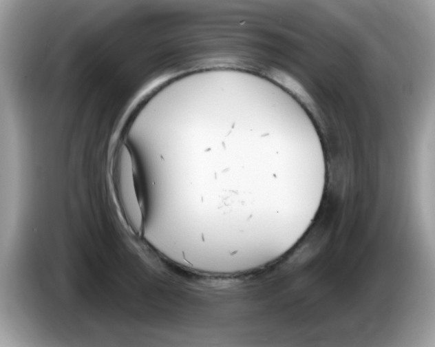 X0000086251043200704261932
