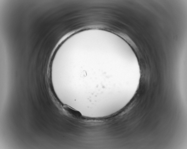 X0000086251044200704261932