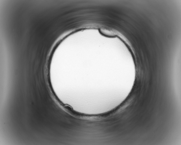 X0000086251045200704261932