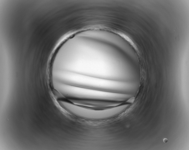 X0000086251046200704261932