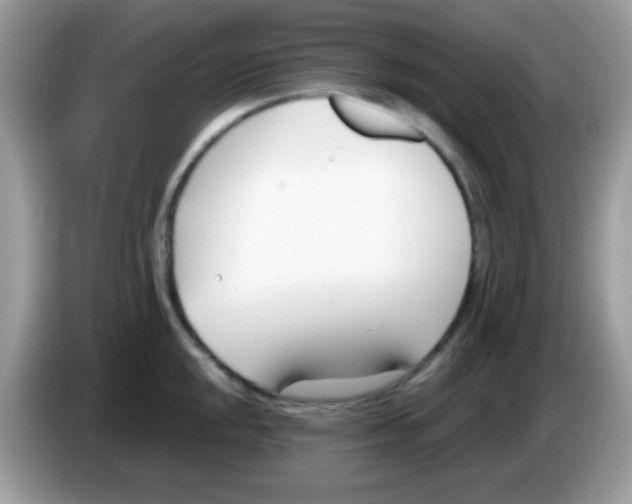 X0000086251048200704261932