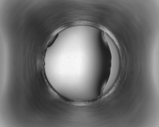 X0000086251049200704261932