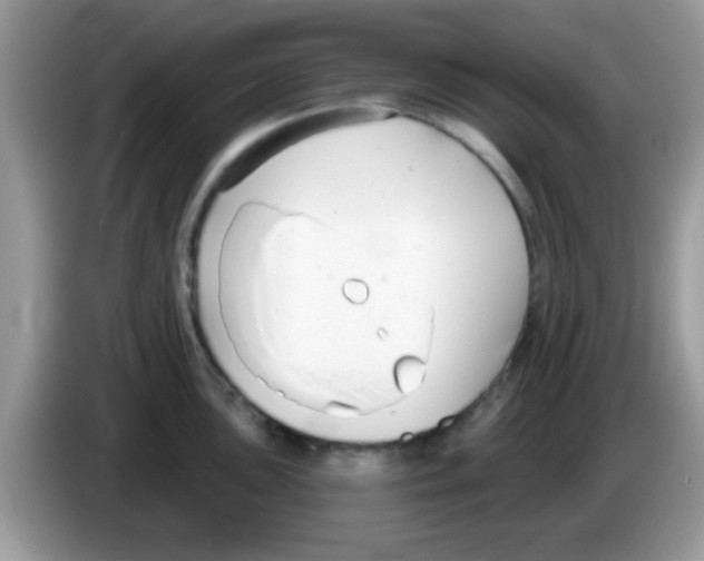 X0000086251051200704261932