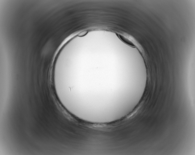 X0000086251052200704261932