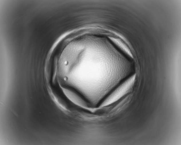X0000086251054200704261932