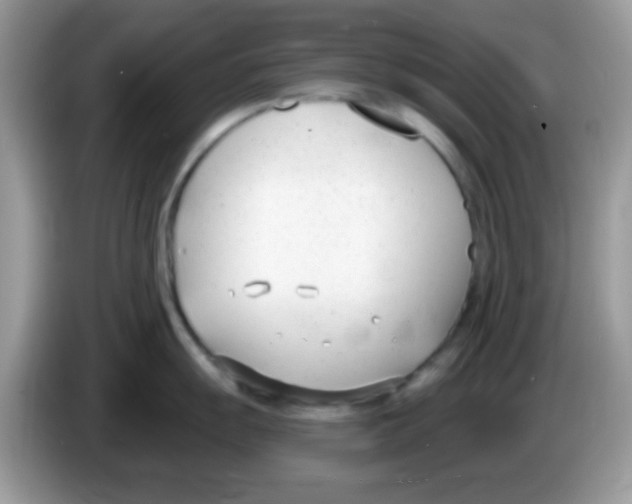 X0000086251055200704261932