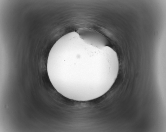 X0000086251058200704261931