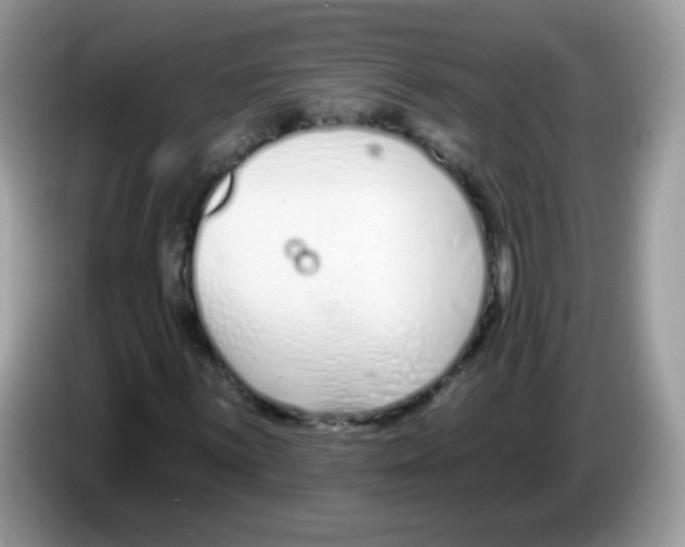 X0000086251059200704261931