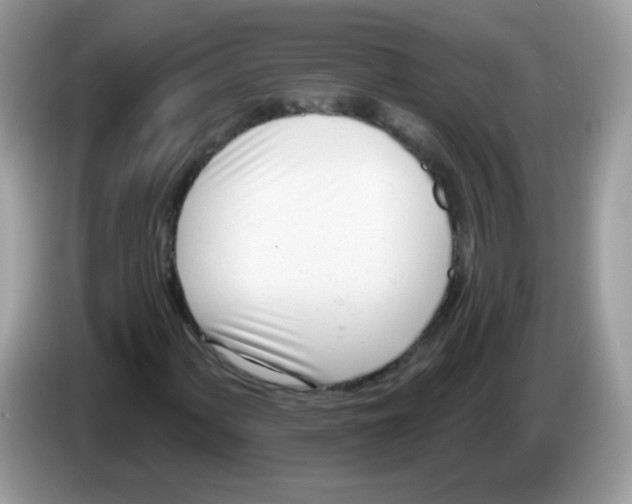 X0000086251060200704261931